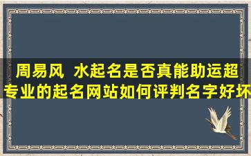 周易风  水起名是否真能助运超专业的起名网站如何评判名字好坏